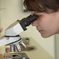 Asbestos Testing