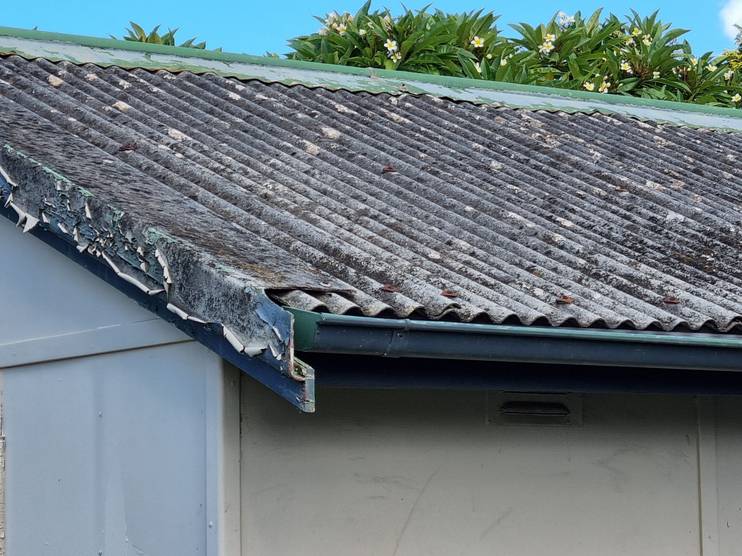 Asbestos Inspection